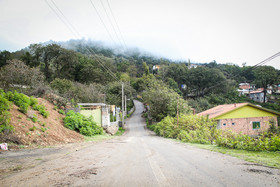 «فیل‌بند» ایستگاه آخر است